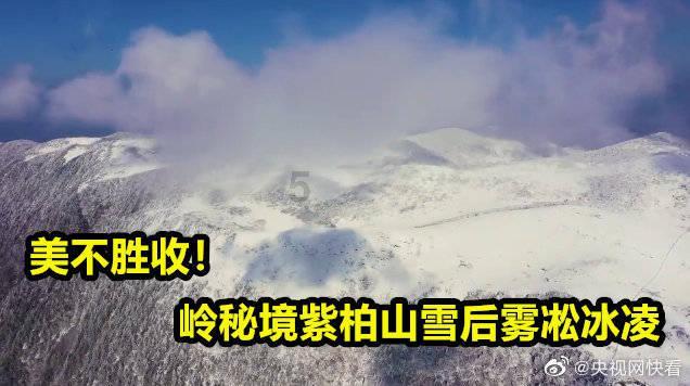 拯救吉他男孩