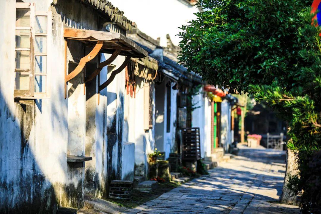 100天学霸养成